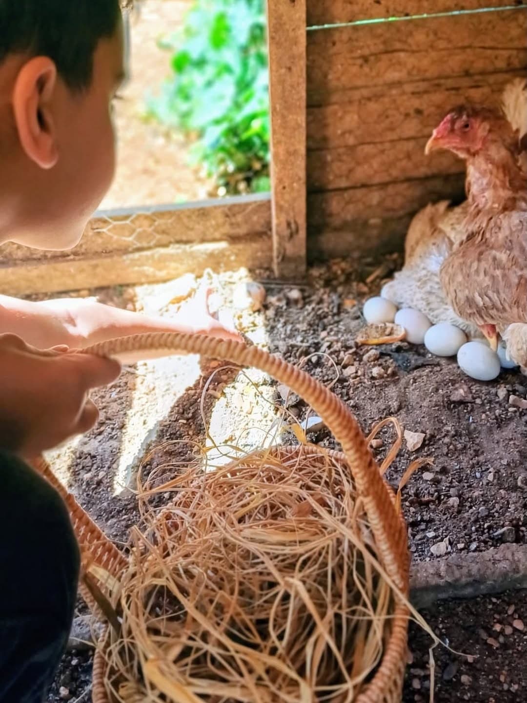 Learning through nature and play